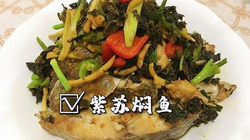 罗非鱼邻居爆料视频,揭秘水下生活点滴  第3张